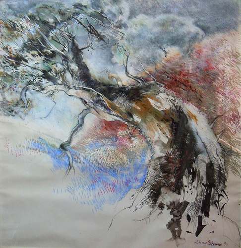 drawing of twisted tree in charcol, pastel and ink on paper